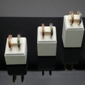 The Petite Frame Hoop Earring Display (DF40T Series)