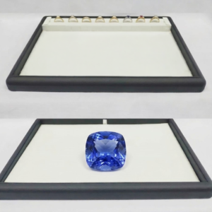 Large Presenting Tray (TS Series)