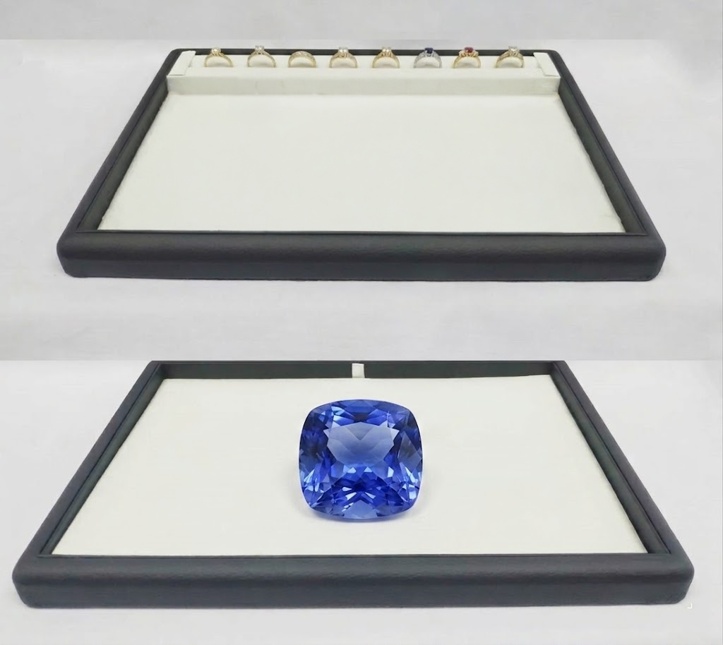 Large Presenting Tray (TS Series)